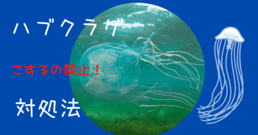 【こするの絶対ダメ！】ハブクラゲに刺された時の対処法【沖縄】