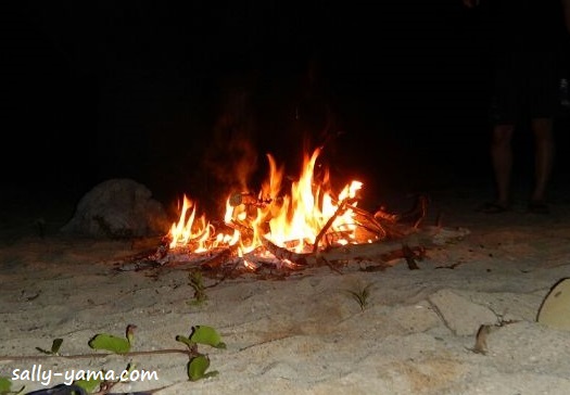 流木を使って海で焚き火をしよう 沖縄キャンプ さりやまブログ