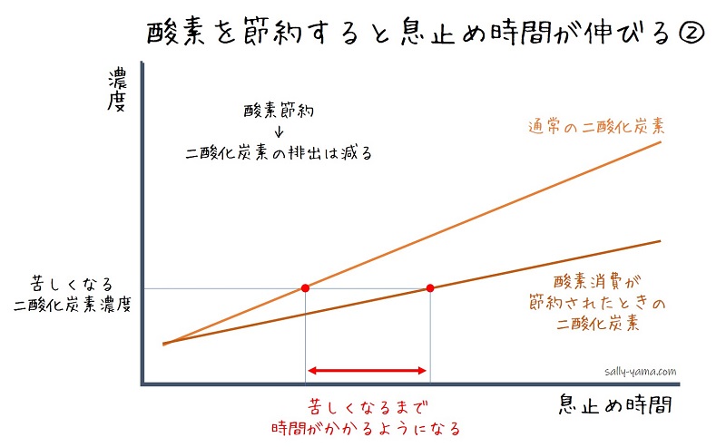 長く潜るための息止めのコツ さりやまブログ