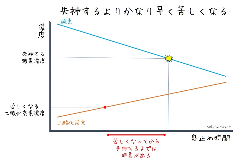長く潜るための息止めのコツ さりやまブログ